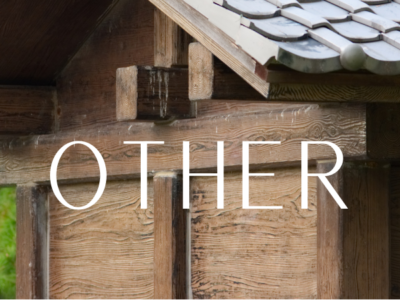 Wooden Shed with Ornate Roof