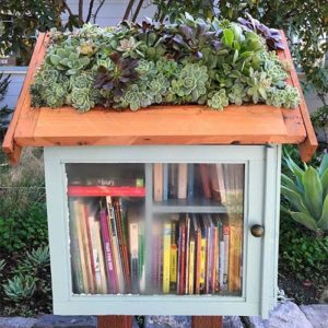 Little Free Library With Succulants on Top Free Library