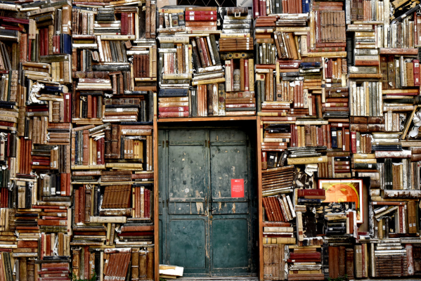 Old Door Surrounded by Books Home Library, Organize my Books